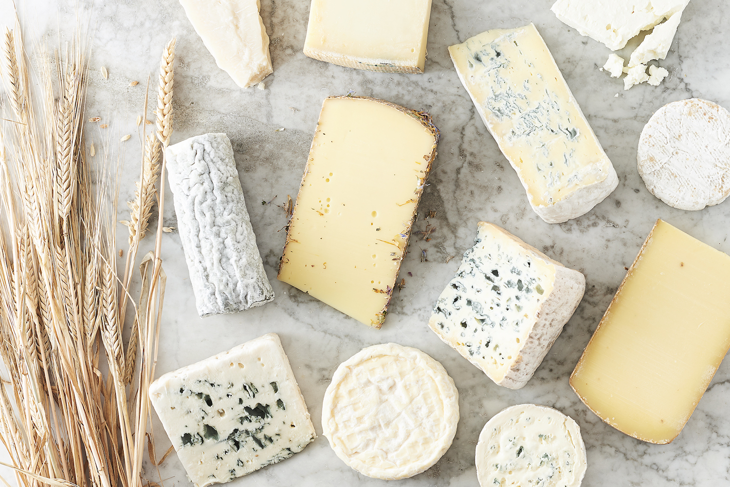 fromages2-produits-laitiers-projet-lucie-lorrain