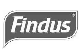 logo-findus-lucie-lorrain-styliste-culinaire